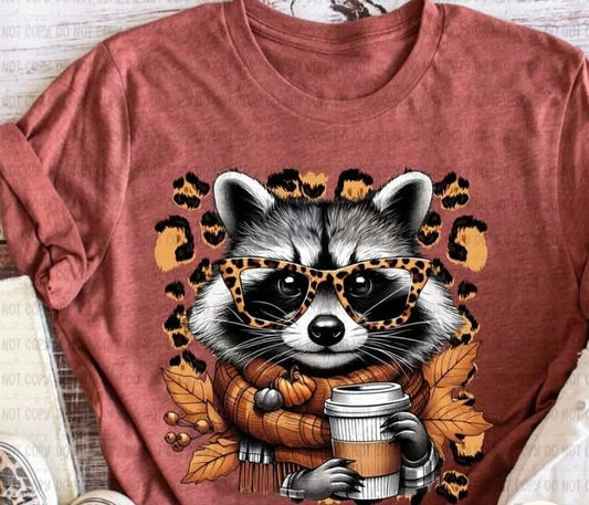 Fall Raccoon