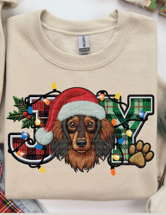 Long Haired Dachshund JOY