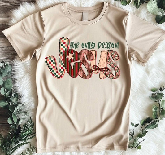 Jesus is The Only Reason Shirt