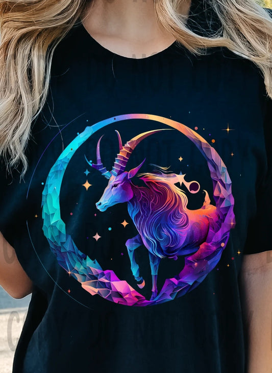 Capricorn - The Sea Goat